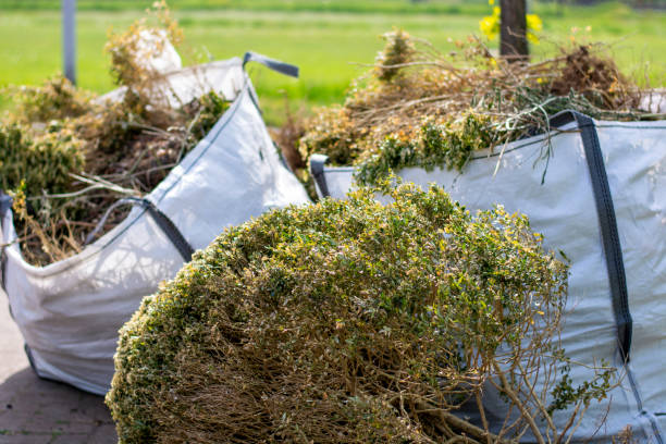  Golden Glades, FL Junk Removal Services Pros